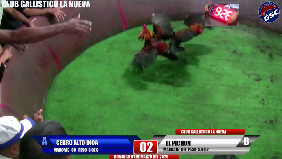 Mi transmisión en vivo